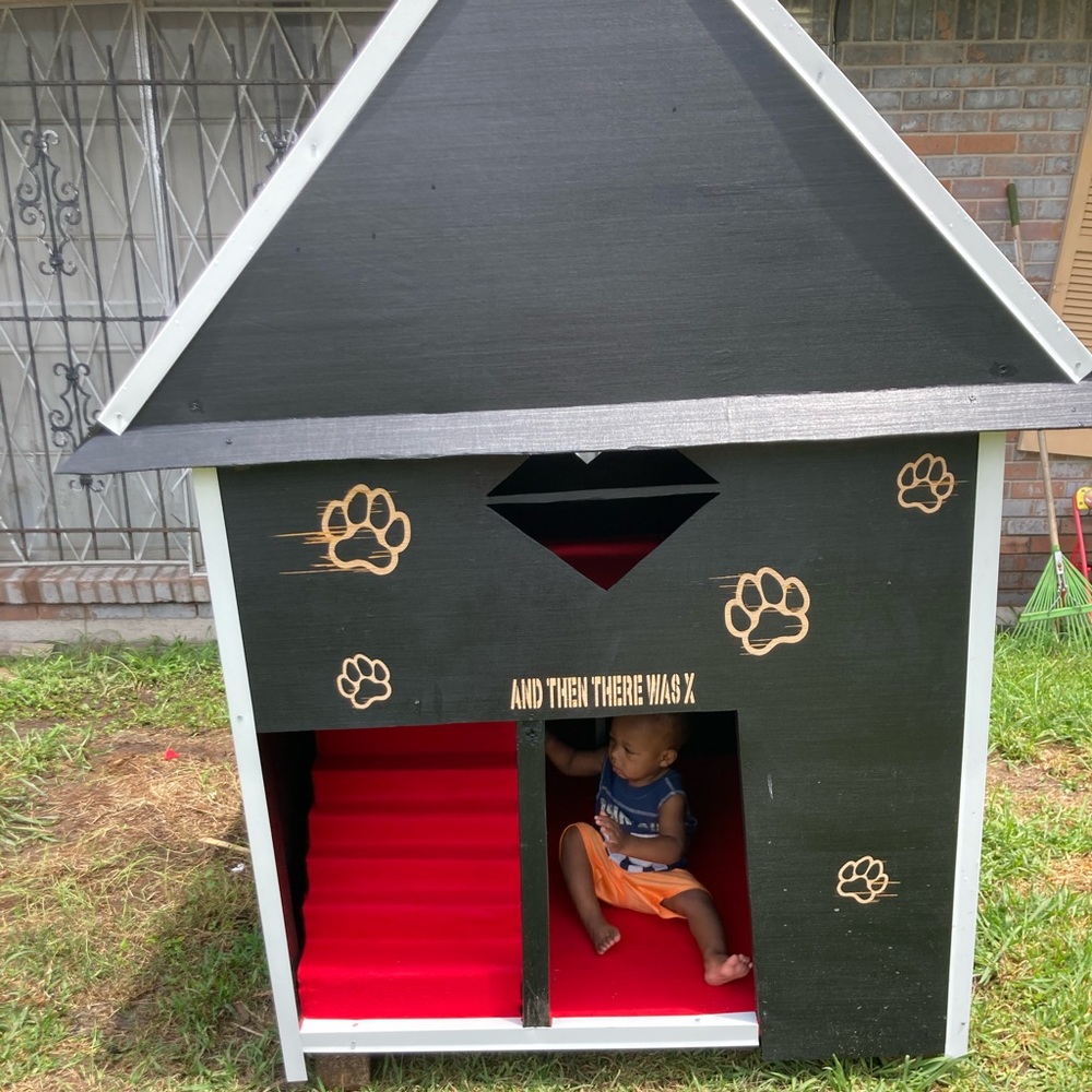 (DMX DEDICATED) (SMALLER DOGS) 2 story dog house🏠